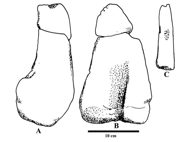 A picture containing drawing  Description automatically generated